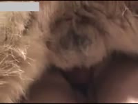 Big tits whore getting banged by cute furry dog